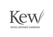 Kew Royal Botanical Gardens